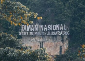 Taman Nasional Bantimurung-Bulusaraung. (Dok Istimewa)